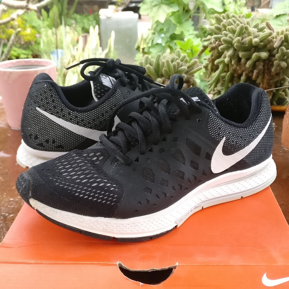 Nike Zoom Pegasus 31